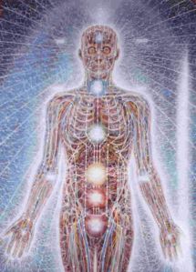 anatomia-de-los-chakras